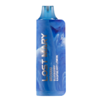 Blueberry Raspberry Lemon Lost Mary MO5000