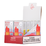 Beach Day BC5000 - Image 2