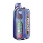 Grape Berry Burst POD SALT Hit 40K