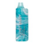 Plum Rose Mint Lost Mary MO5000