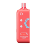 Pomegranate Blast Ice Off Stamp Ice Cube