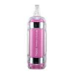 Strawberry Shortcake RAZ TN9000 - Image 2