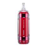 Watermelon Ice RAZ TN9000 - Image 2