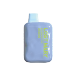 Blueberry Ice Lost Mary OS5000