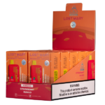 Strawberry Mango Lost Mary OS5000 - Image 2